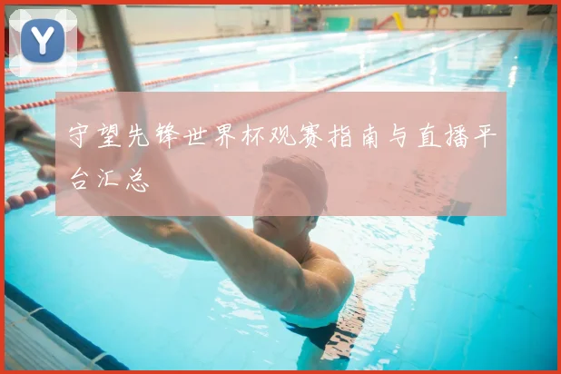 守望先锋世界杯观赛指南与直播平台汇总
