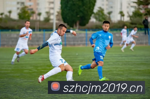 数据防护可视化